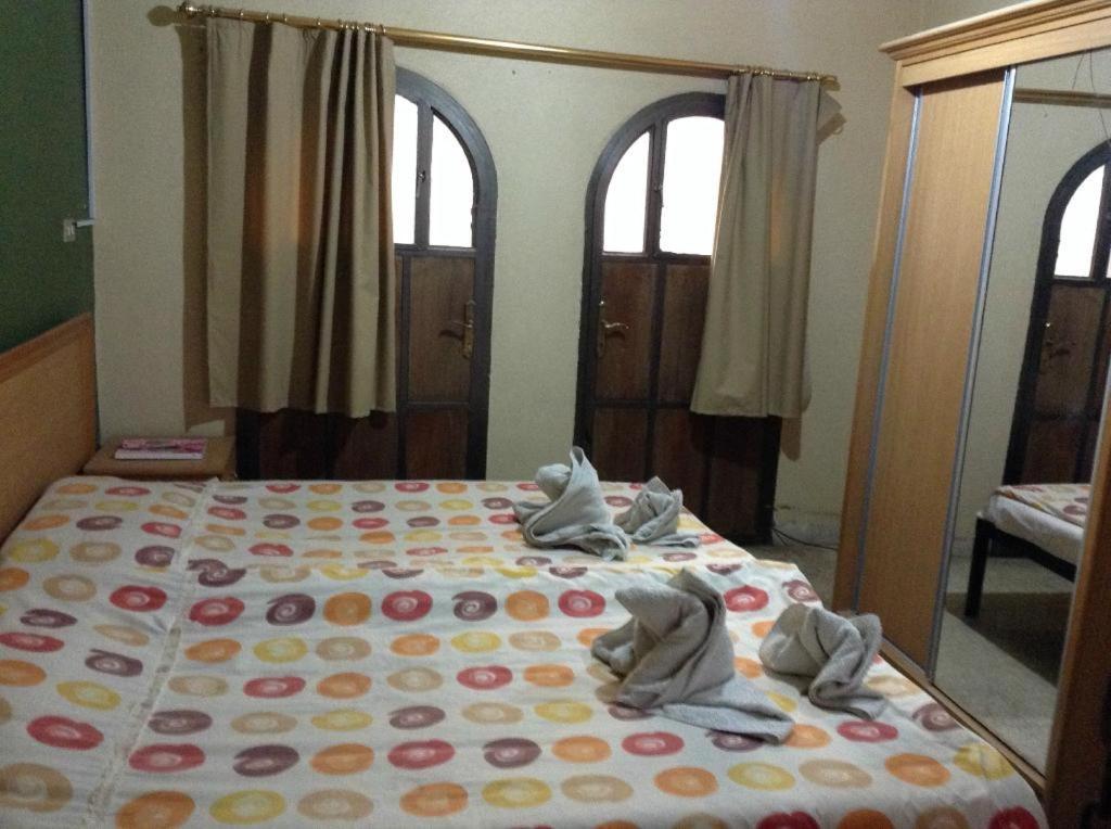 Queen Ayloa Hotel&Restaurant Мадаба Екстериор снимка